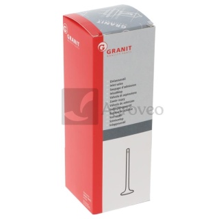 Zawór wydechowy 38002756 3136915R2