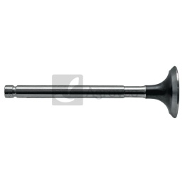 Zawór wydechowy 38003076 K950100, T4165