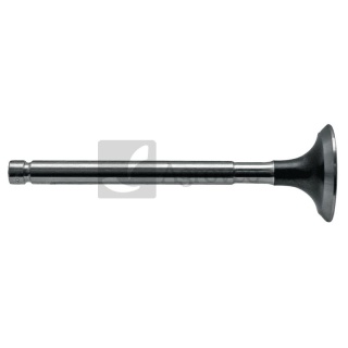 Zawór wydechowy 38003076 K950100, T4165