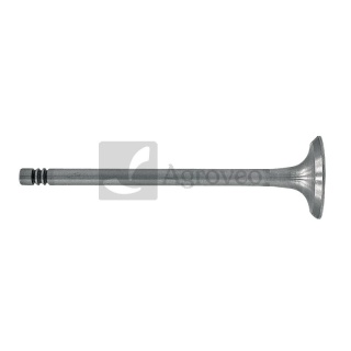 Zawór wydechowy 38004051 04231804, 04153697, 02137300, 04159139