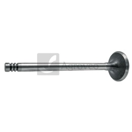 Zawór wydechowy 38004547 04170899