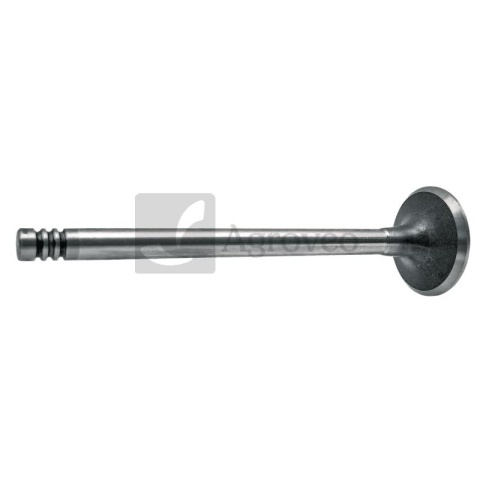 Zawór wydechowy 38004547 04170899