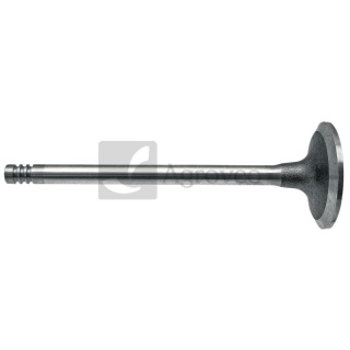 Zawór wydechowy 38004551 04255217, 04208096