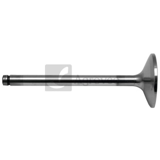 Zawór wydechowy 38006497 F824200410130