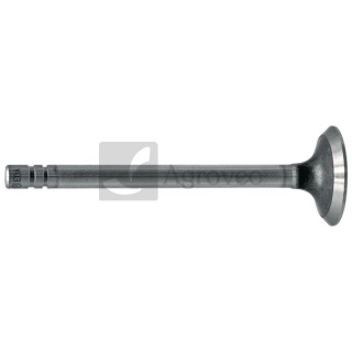 Zawór wydechowy 38012064/2 R79624, R52252