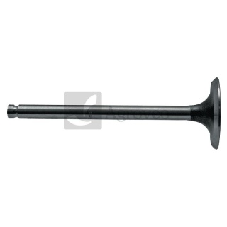 Zawór wydechowy 38015400 748309M1