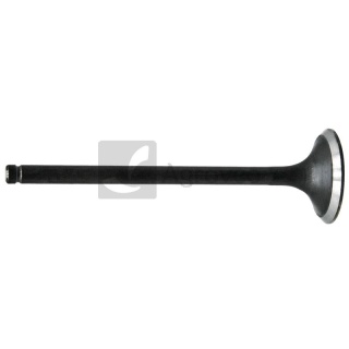 Zawór wydechowy 38017131 8830045