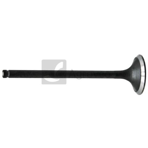 Zawór wydechowy 38017131 8830045