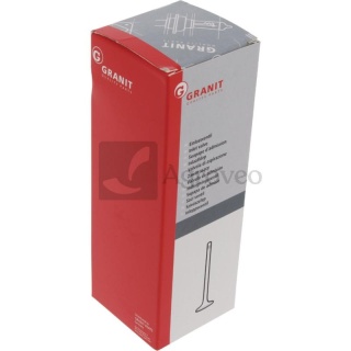 Zawór wydechowy 38017755 4618867, 4673608, 4621484