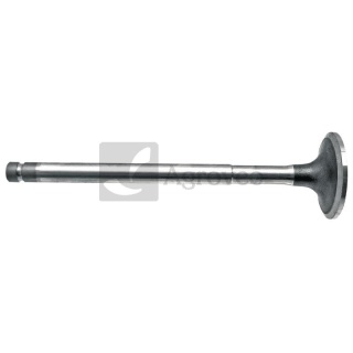 Zawór wydechowy 38022074 V836117564, T5153