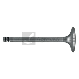 Zawór wydechowy 38060073 F199200210050