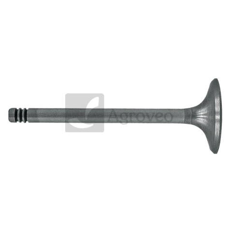 Zawór wydechowy 38060073 F199200210050