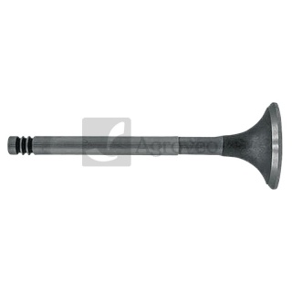 Zawór wydechowy 38060076 F385200210150