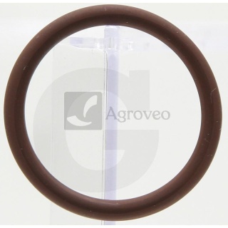 Oring 380002167 144587681, 98465103