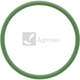 Oring 38012520 R519989