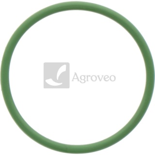 Oring 38012520 R519989