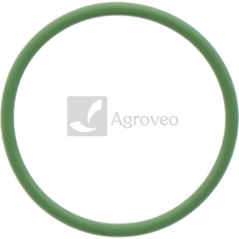 Oring 38012520 R519989