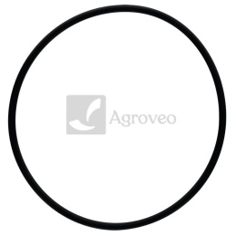 Oring 38015724 376946X1