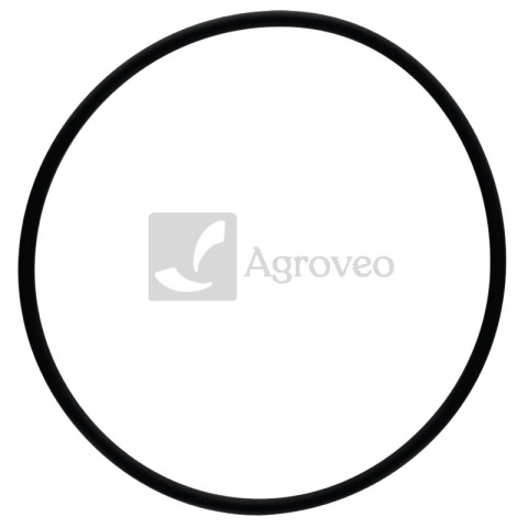 Oring 38015724 376946X1