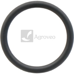 Oring 74707005 17288681, 14463280, 14463281