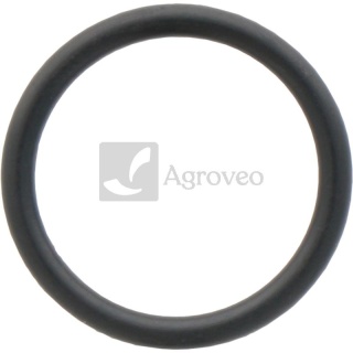 Oring 74707005 17288681, 14463280, 14463281