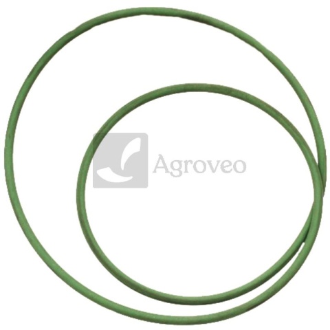 Pierścień uszczelniający 74704079 F100001174175, 01174175