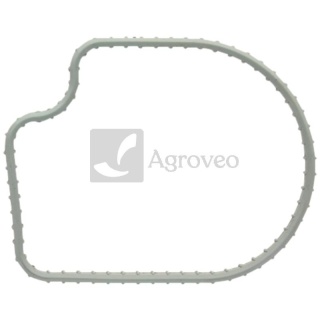 Promieniowy pierścień uszczelniający 380120228 R501228
