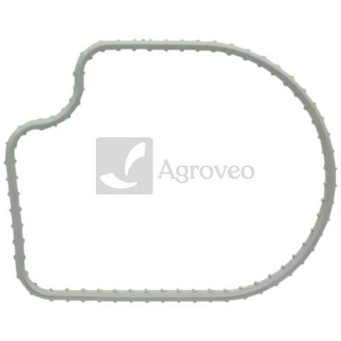 Promieniowy pierścień uszczelniający 380120228 R501228