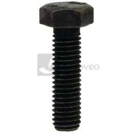 Śruba 380060103 01148665