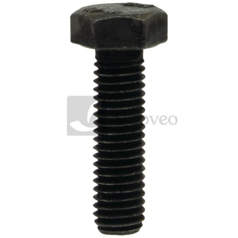 Śruba 380060103 01148665