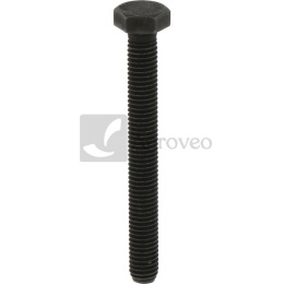 Śruba 380060104 011486658