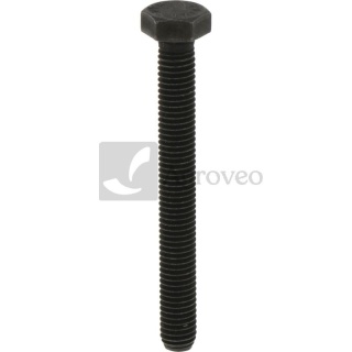 Śruba 380060104 011486658