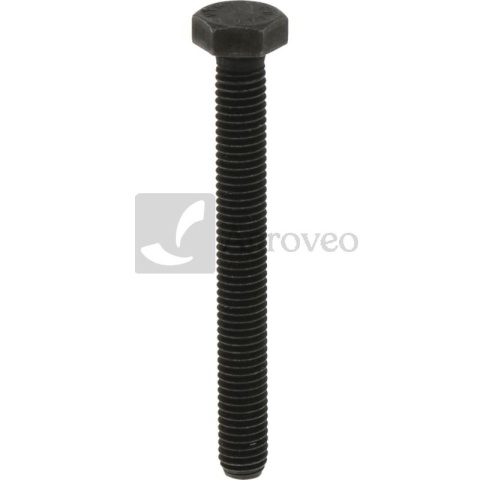 Śruba 380060104 011486658