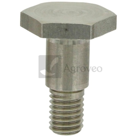 Śruba 380060110 04500046, F731200100180