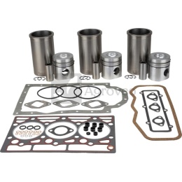 Zestaw naprawczy silnika 380002071