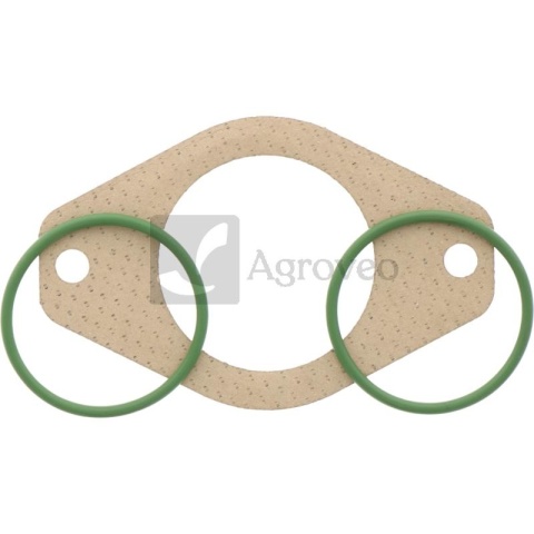 Zestaw uszczelek 38012938 RE528207