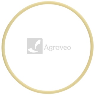 Oring 38006866 F345200210020