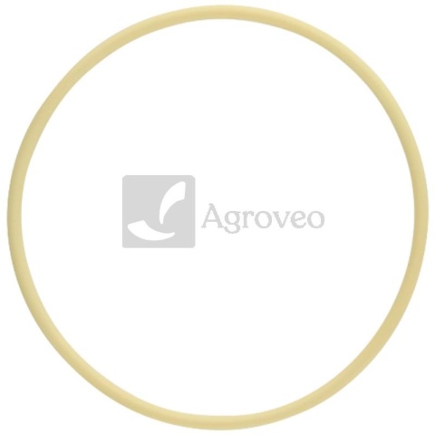 Oring 38006866 F345200210020