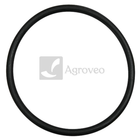 Oring 74702044 510121, 2385227