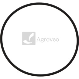 Oring 74702176 354194A1