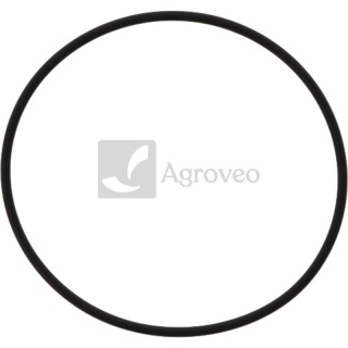 Oring 74702176 354194A1
