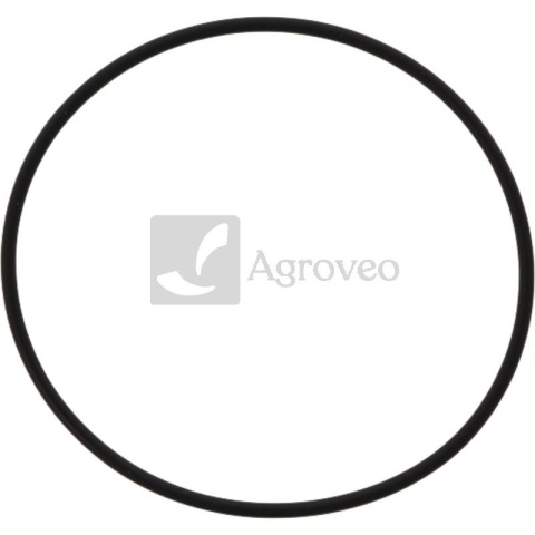 Oring 74702176 354194A1