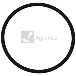 Oring 74702408 R541830