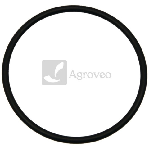Oring 74702408 R541830