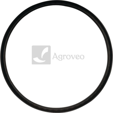 Oring 74702436 V614602430