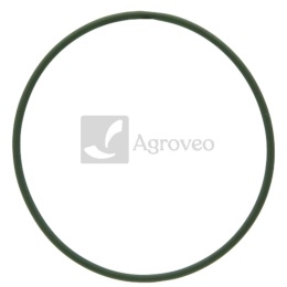 Oring 74706140 X548911100000