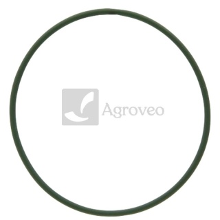 Oring 74706140 X548911100000