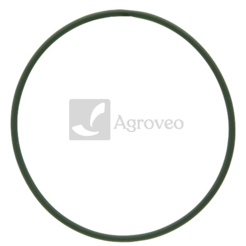 Oring 74706140 X548911100000