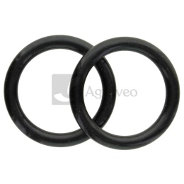 Oring 74706396 F119200050070, 01180972