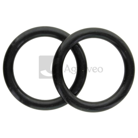 Oring 74706396 F119200050070, 01180972